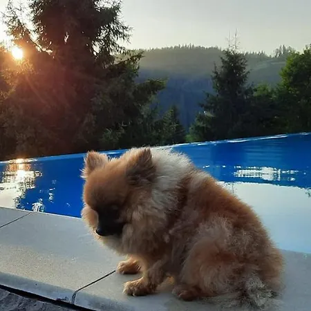 схили карпат Nizhnyaya Rozhanka