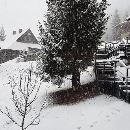 схили карпат Nizhnyaya Rozhanka