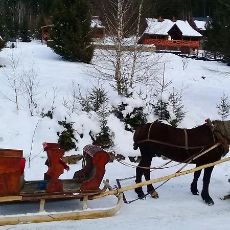 схили карпат Hotel *