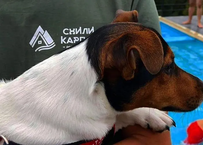 酒店 схили карпат