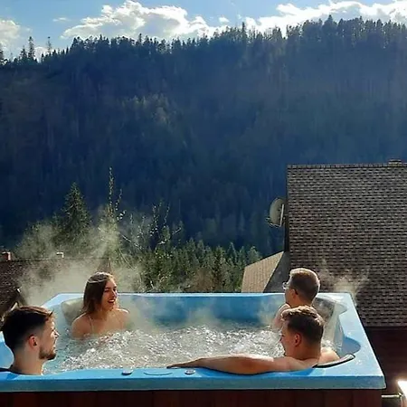 Hotel схили карпат *