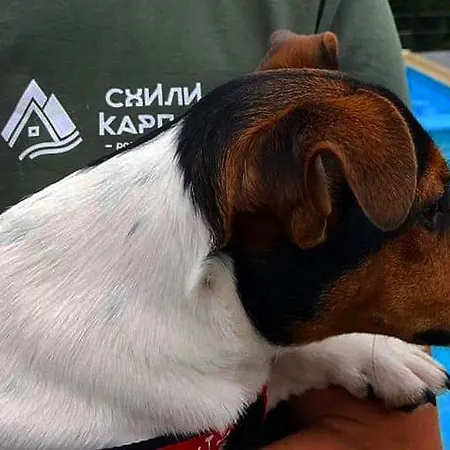 Hotel схили карпат